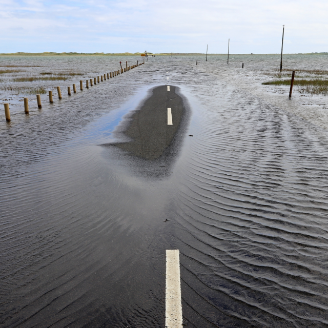 Sea rise image